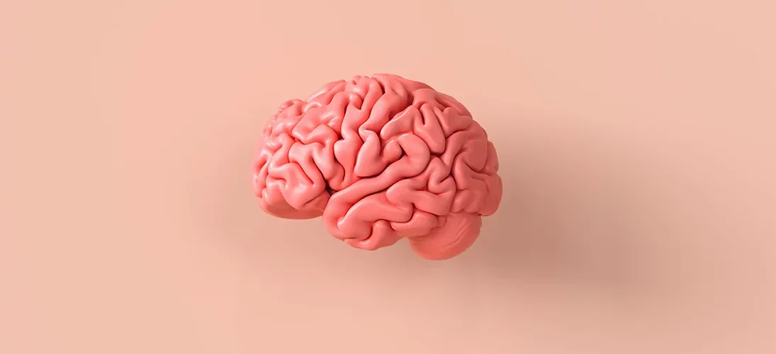 Comment stimuler notre cerveau ?