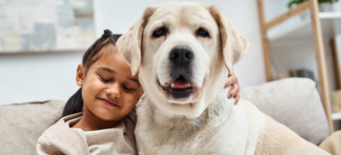 L’AP-HP accueille son premier chien d’assistance judiciaire