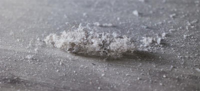 Des pesticides dans l’air et les poussières de nos logements