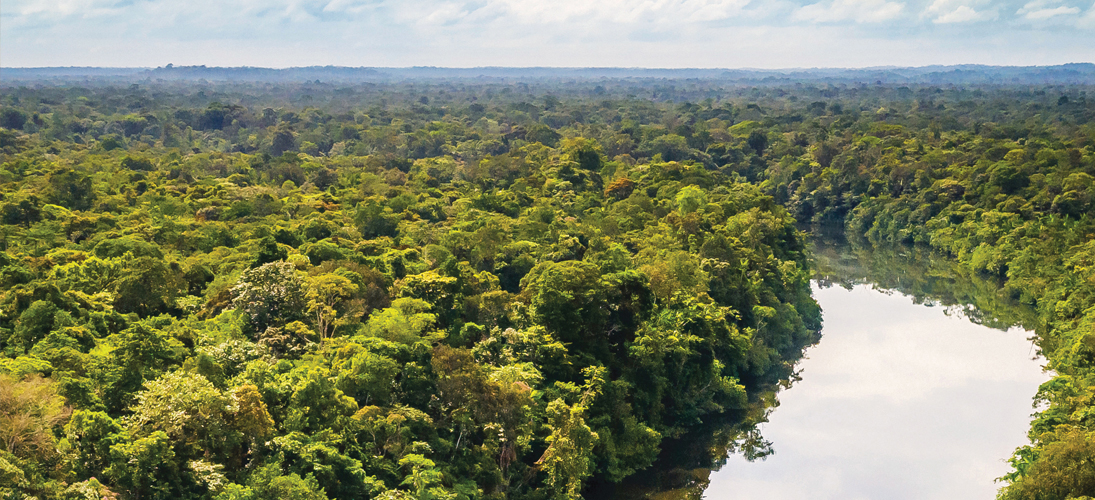 Escapades guyanaises sur la terre comme au ciel