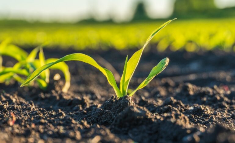 La population présente un niveau d’exposition préoccupante au cadmium. Ce métal lourd, cancérigène, se retrouve dans un grand nombre de produits alimentaires consommés au quotidien.